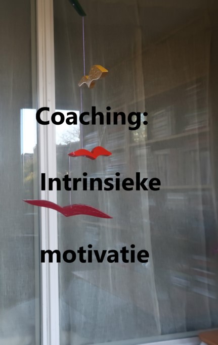 intrinsieke-motivatie : autonomie, competentie en saamhorigheid.
